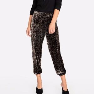 Johnny Was Leopard Velvet Jogger Pant L Large NWT